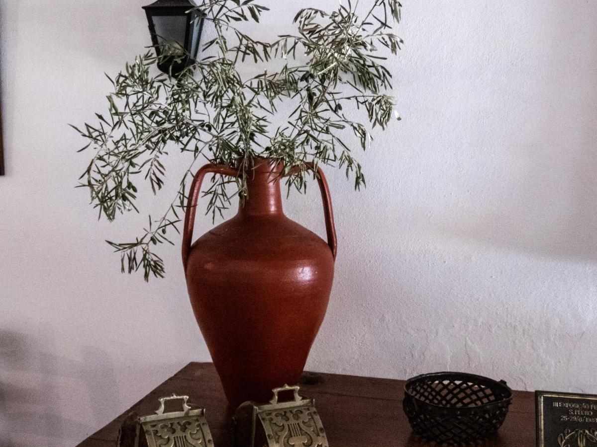 Monte Das Oliveiras Arraiolos Esterno foto