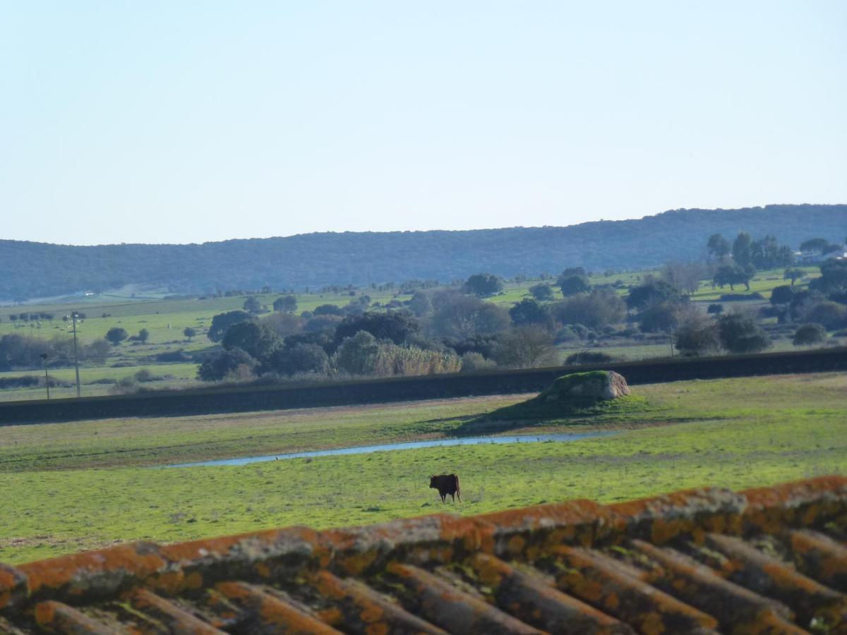 Monte Das Oliveiras Arraiolos Esterno foto